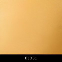 DL031