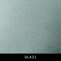 DLA21